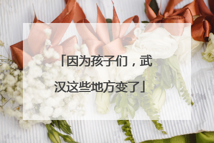 因为孩子们，武汉这些地方变了